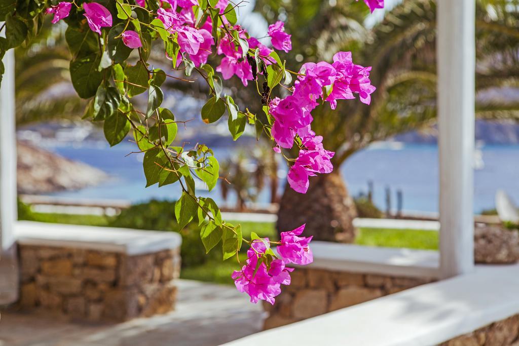 Sea View Residence Mykonos Town Exterior foto